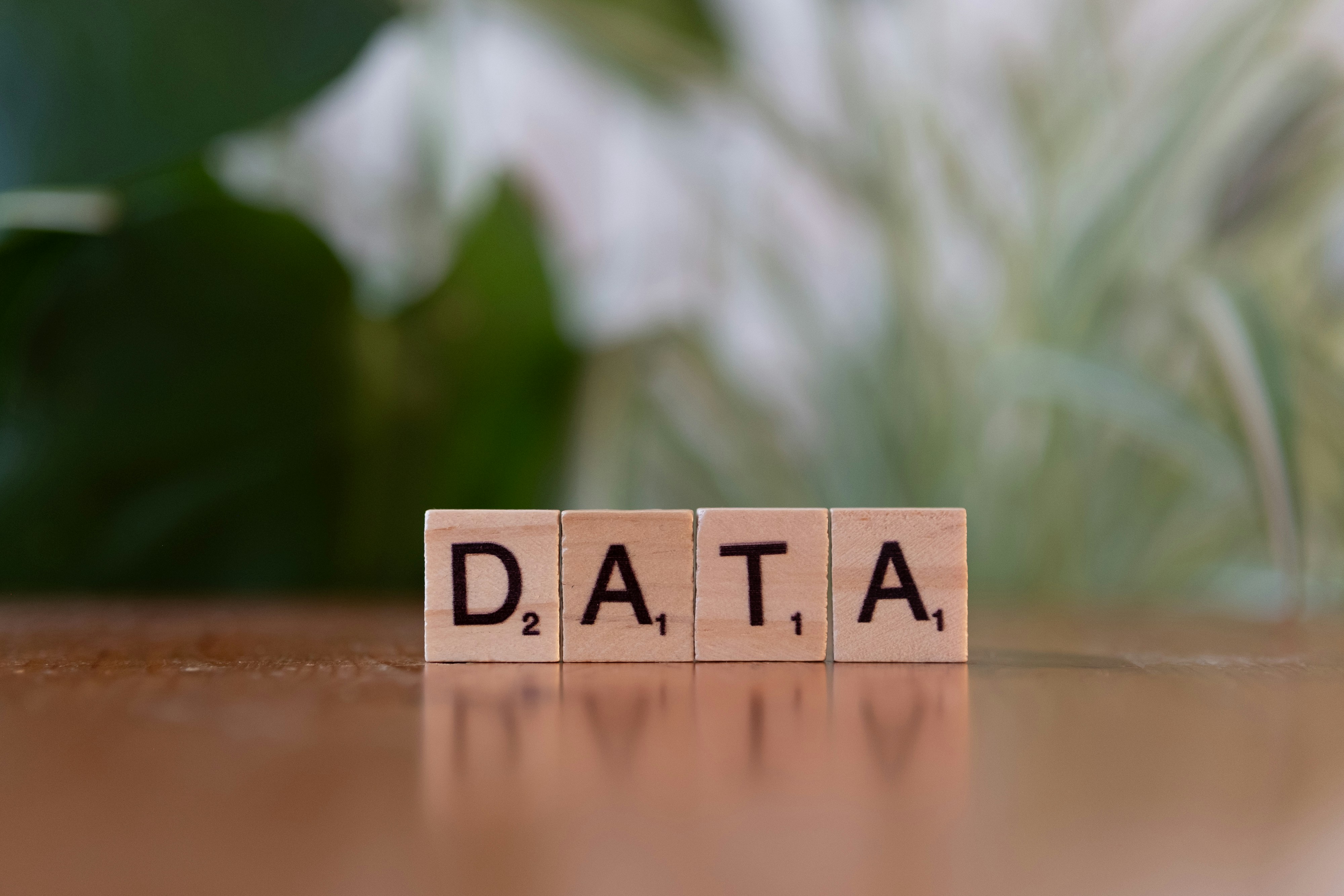 Data Labeling for Beginners: How Simple Image Tagging Tasks Power AI Models